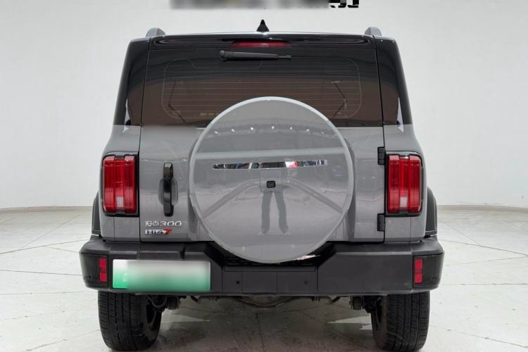 Used Tank 300 New Energy 2024 Hi4-T
