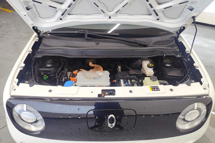 Used ORA Black Cat 2021 301 km Basic Version
