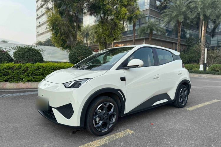 Used BYD Seagull 2025 Smart Drive Version 305 km Freedom Edition