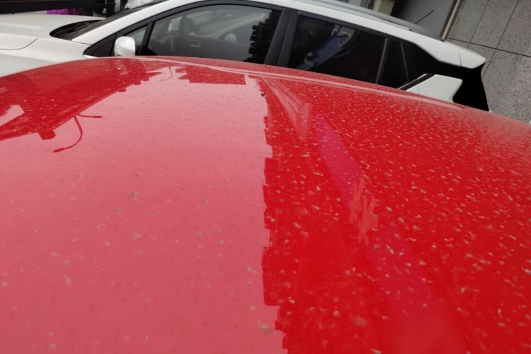 Used Volkswagen Polo 2016 1.4L Automatic Trendy Model
