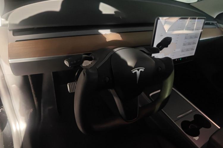 Used Tesla Model Y 2021 Standard Range Rear-Wheel Drive Version
