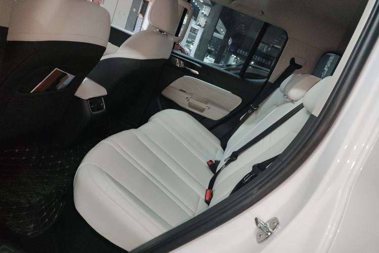 Used Tank 300 New Energy 2024 Hi4-T
