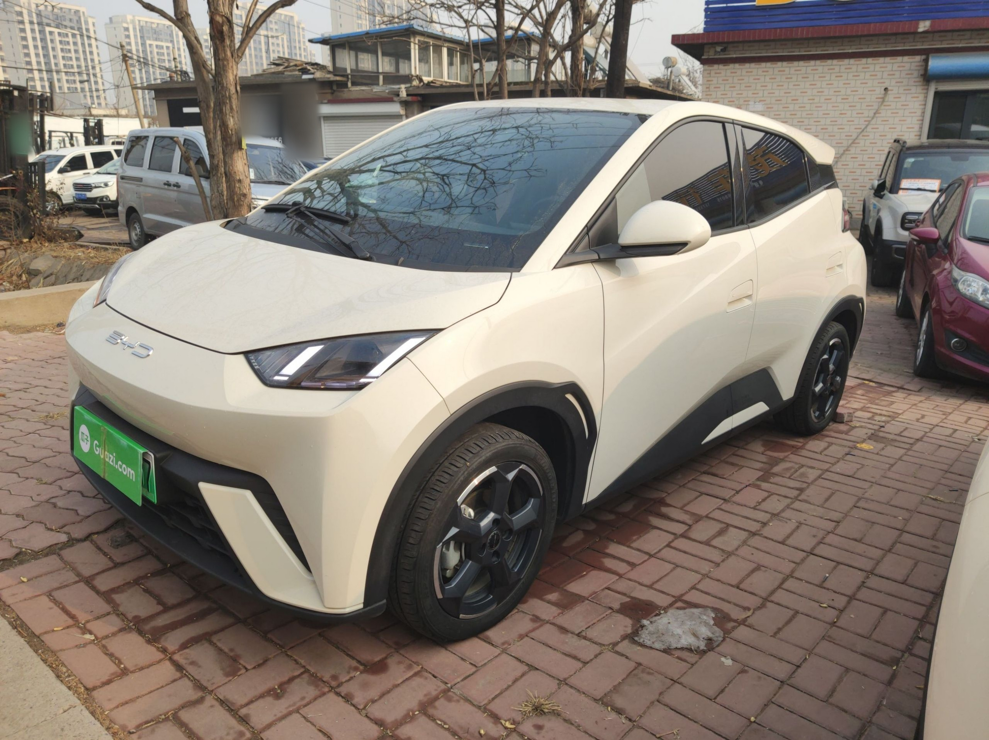 تحت مقدمة السيارة