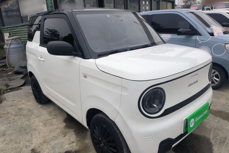 Used  Panda 2023 Panda Mini 200km Endurance Bear