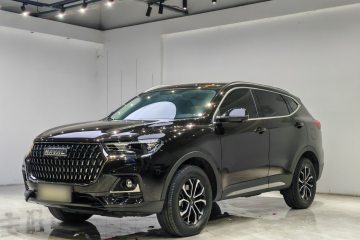 Used Haval H6 2023 National Trend Edition 1.5T Automatic Urban Version