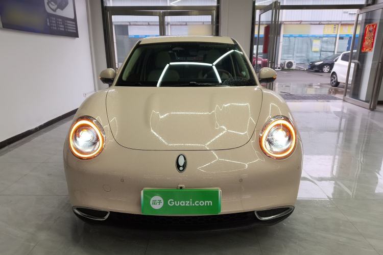 Used ORA Good Cat 2022 Morandi Edition 400km Standard Range Premium Version Lithium-Ion Battery
