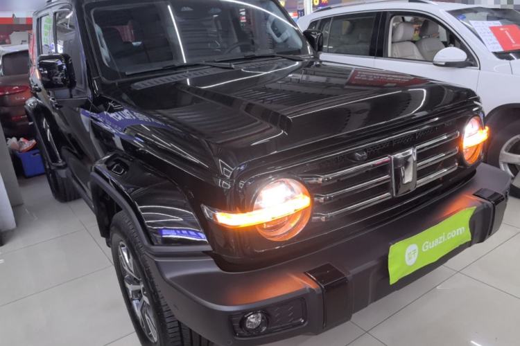 Used Tank 300 2024 2.0T Crosser
