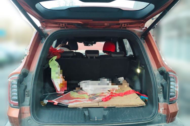 Used Haval DARGO 2021 1.5T DCT Two-Wheel Drive Border Collie Edition
