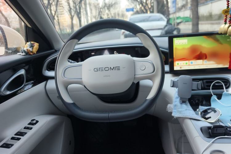 Used  Geome 2025 310km Youth Edition