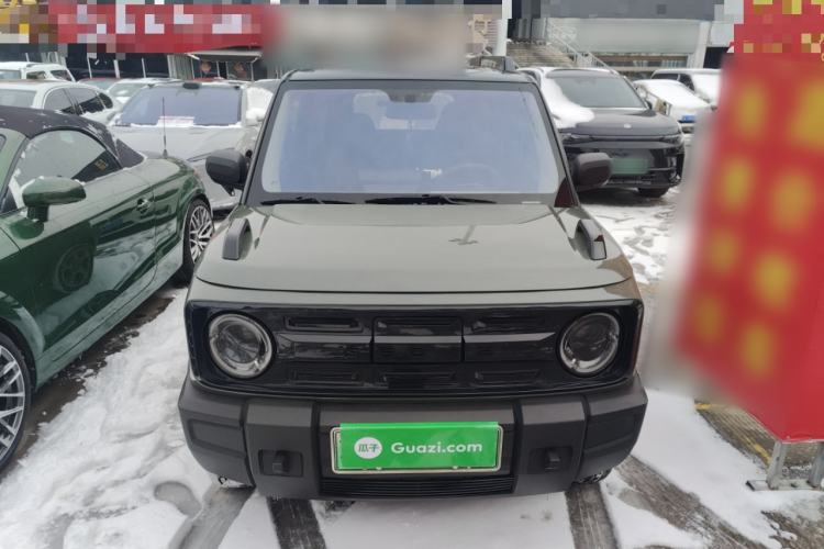 Used  Panda 2024 200km Panda Rider