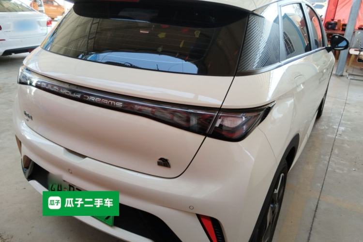 Used BYD Dolphin 2021 405 km Free Version