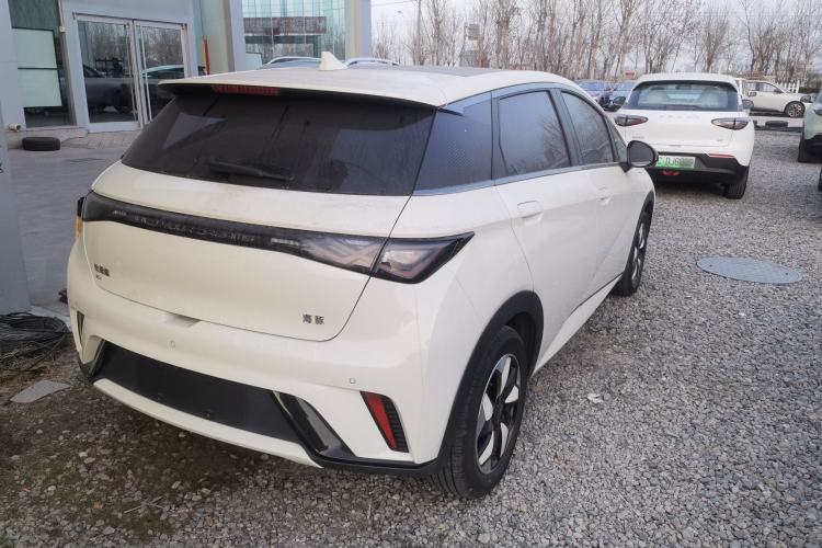 Used BYD Dolphin 2024 Honor Edition 420km Fashion Version