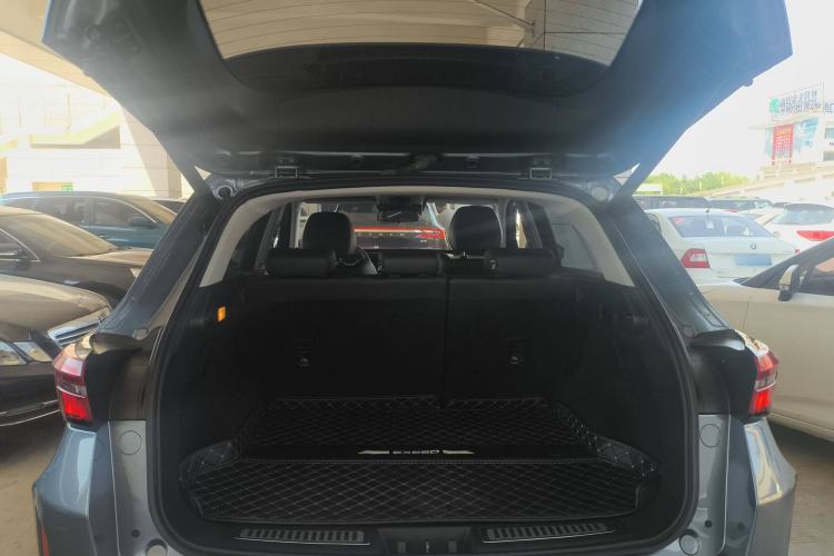 Used  Zhuifeng 2020 Chasing the Waves Edition 1.5T CVT Xingrui Version
