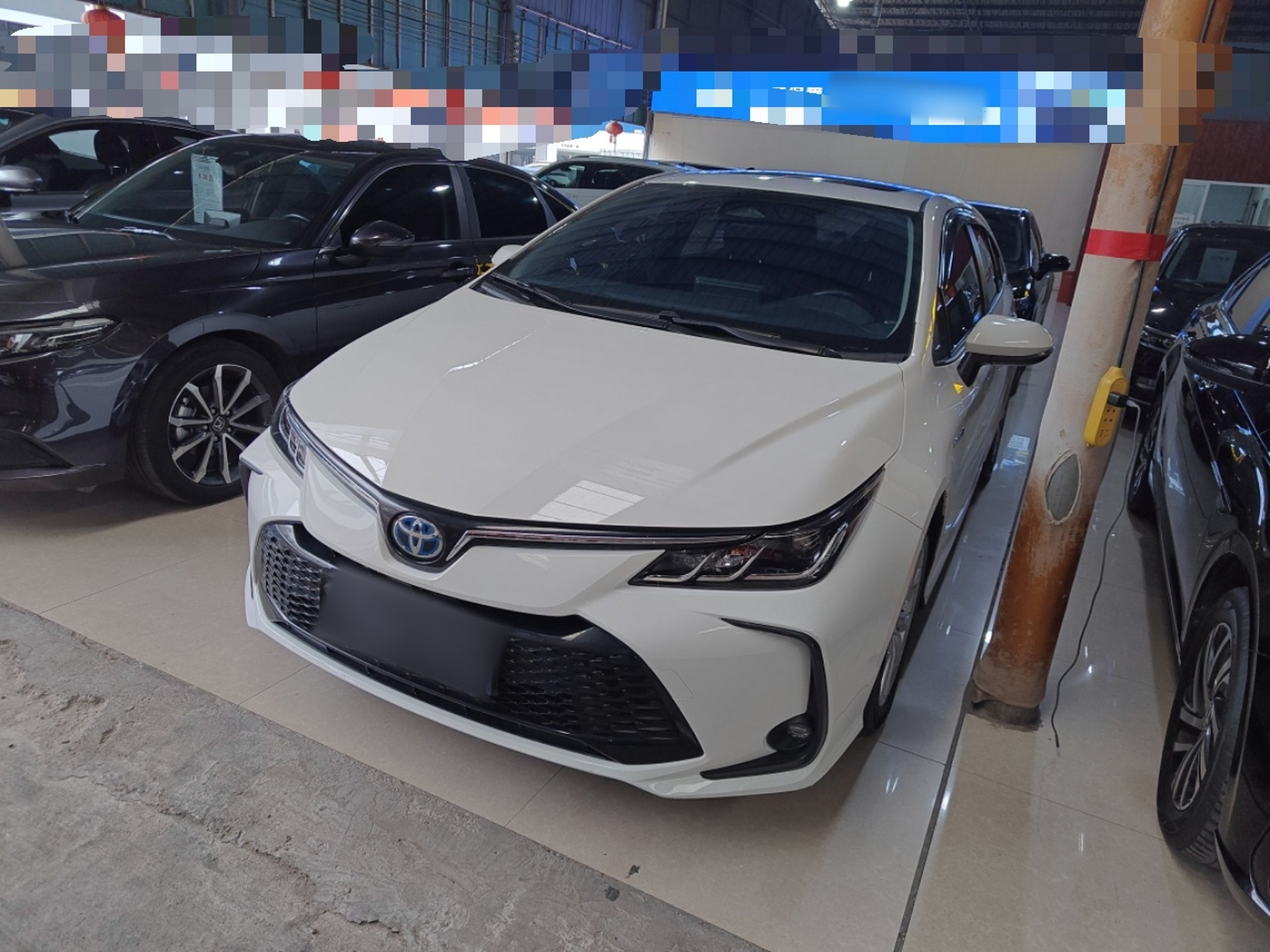 تحت مقدمة السيارة