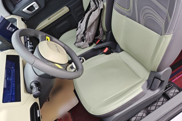 Used  Panda 2024 200km Panda Rider