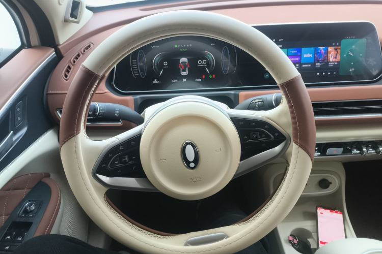 Used ORA Good Cat 2024 401 km Luxury Version 126 kW