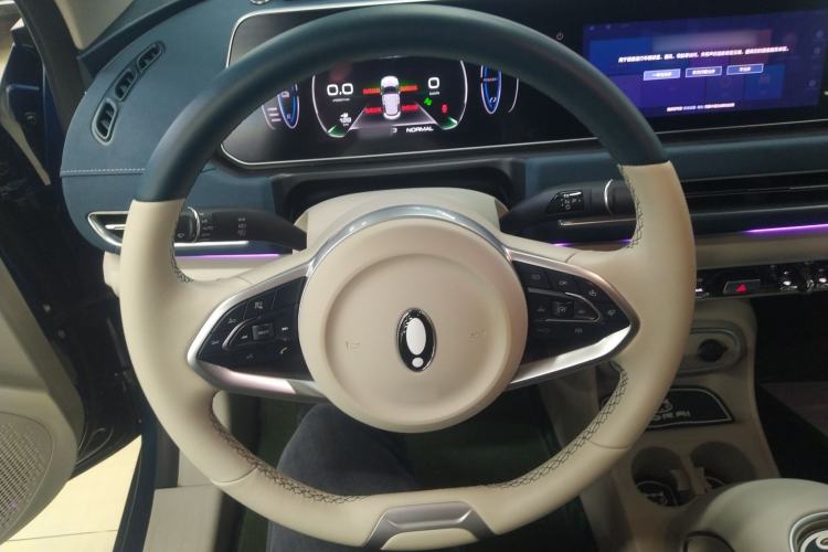 Used ORA Good Cat 2023 401 km Standard Range Luxury Version Lithium Iron Phosphate
