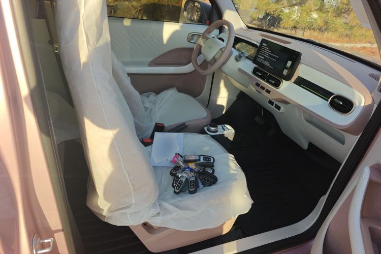 Used  Panda 2025 210 km – Yuanqi Bear
