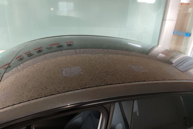 Used Tesla Model Y 2024 Rear-Wheel-Drive Version
