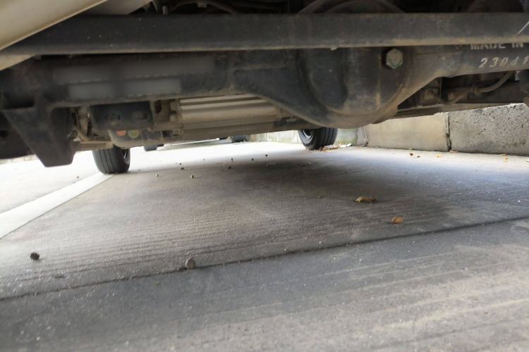 Used  Panda 2023 Panda Mini 200km Endurance Bear
