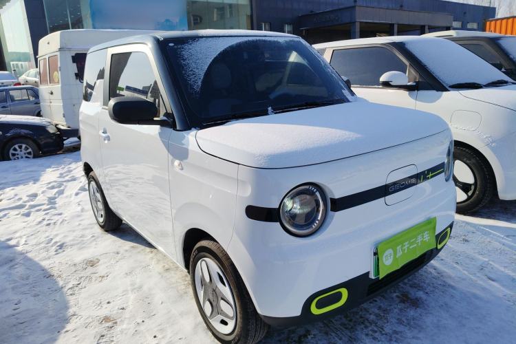Used  Panda 2025 210 km – Yuanqi Bear