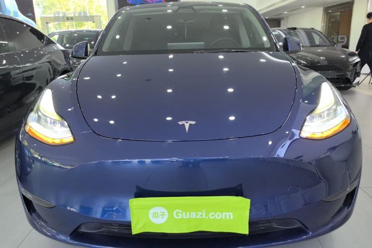 Used Tesla Model Y 2021 Standard Range Rear-Wheel Drive Version
