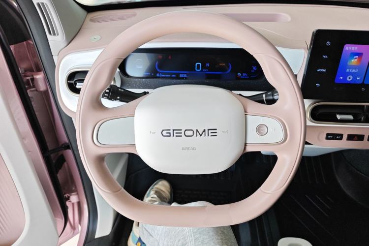 Used  Panda 2025 210 km – Yuanqi Bear