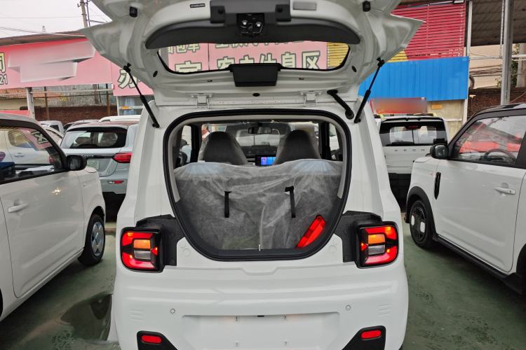 Used  Panda 2024 Panda Mini 200km Endurance Bear
