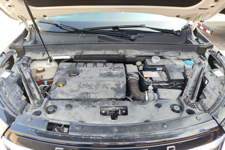 Used  TX 2019 1.6T Four-Wheel Drive Platinum Edition
