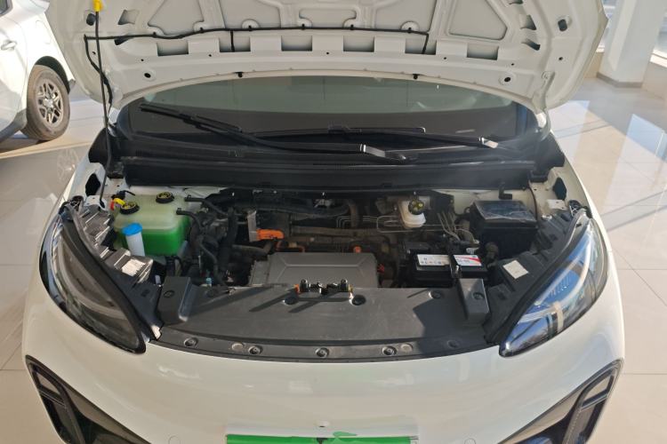 Used ARCFOX Kaola 2023 Family Edition
