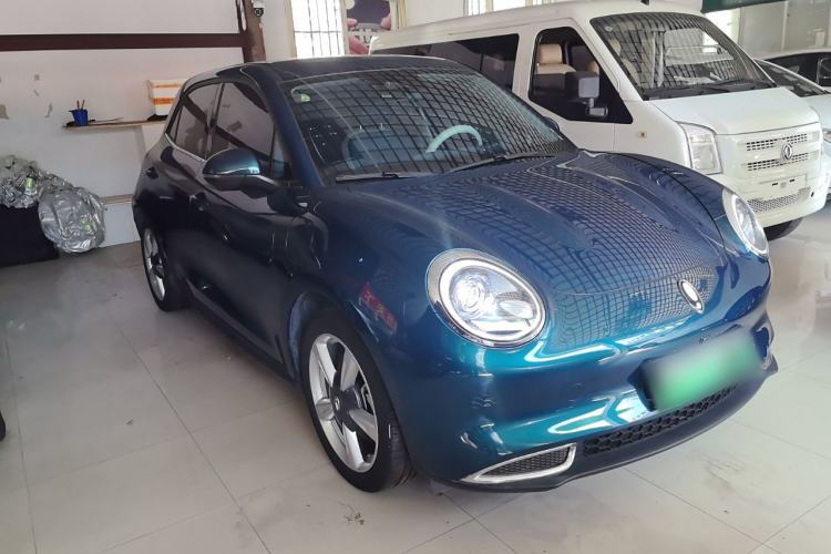 Used ORA Good Cat 2023 401 km Standard Range Luxury Version Lithium Iron Phosphate
