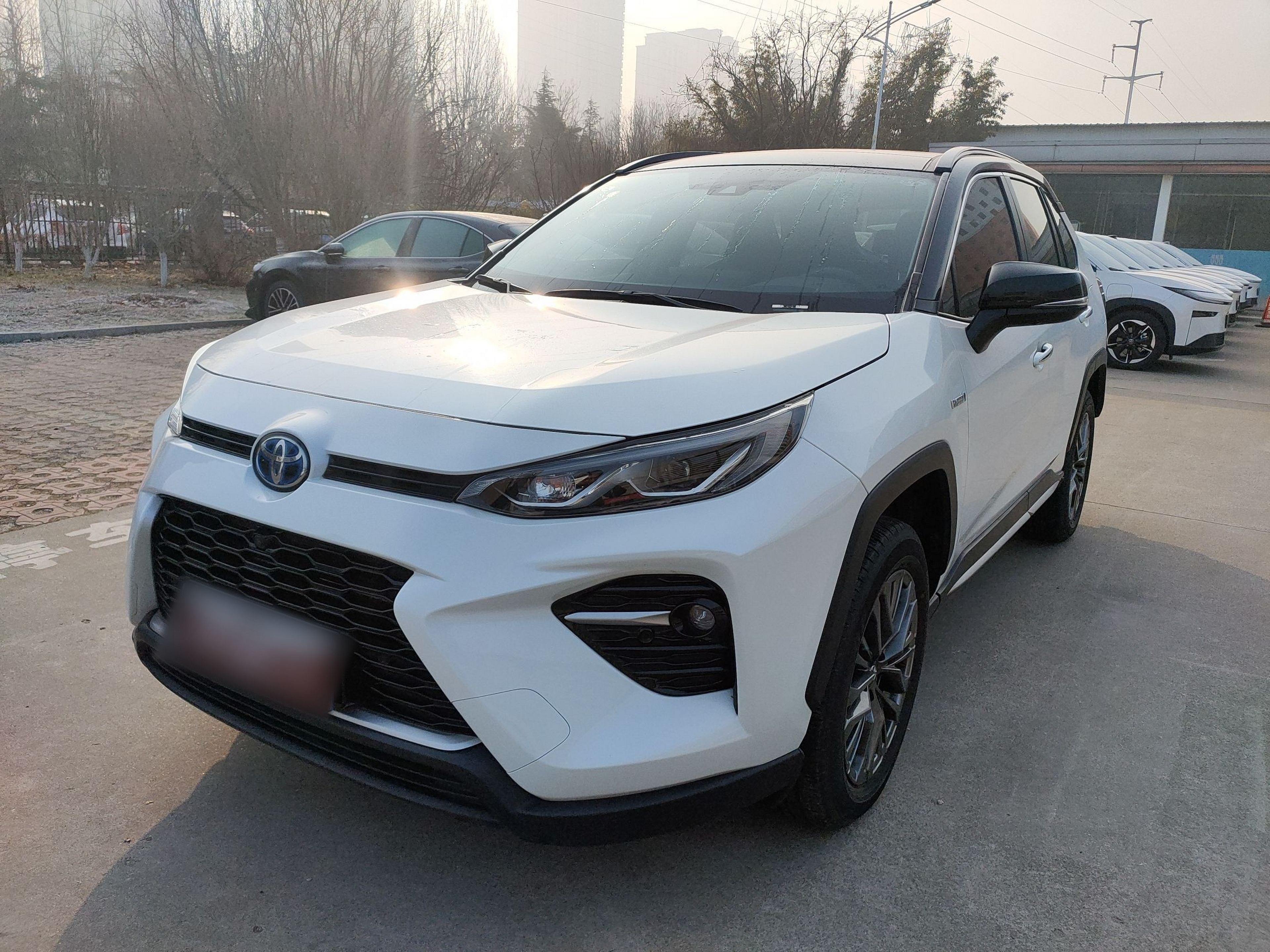 تحت مقدمة السيارة