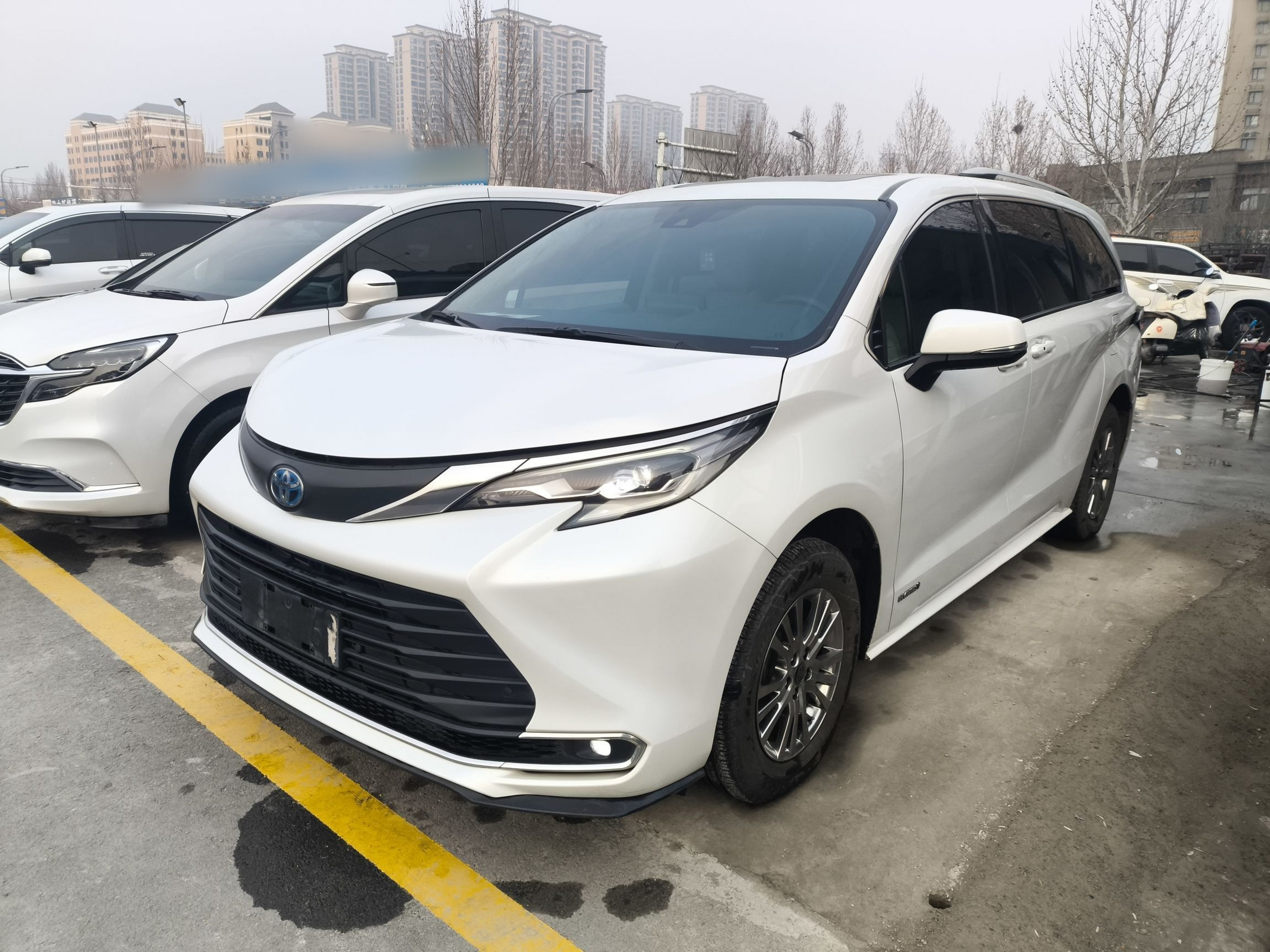 تحت مقدمة السيارة