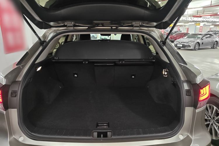 Used Lexus RX 2020 Revised Version 300 Two-Wheel Drive Elite Edition