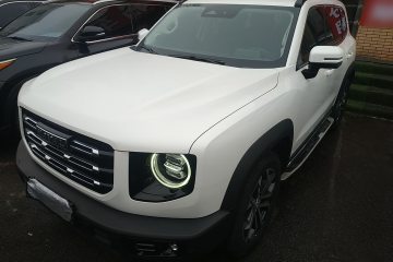 Used Haval DARGO 2021 2.0T DCT Two-Wheel Drive Chinese Mastiff Edition