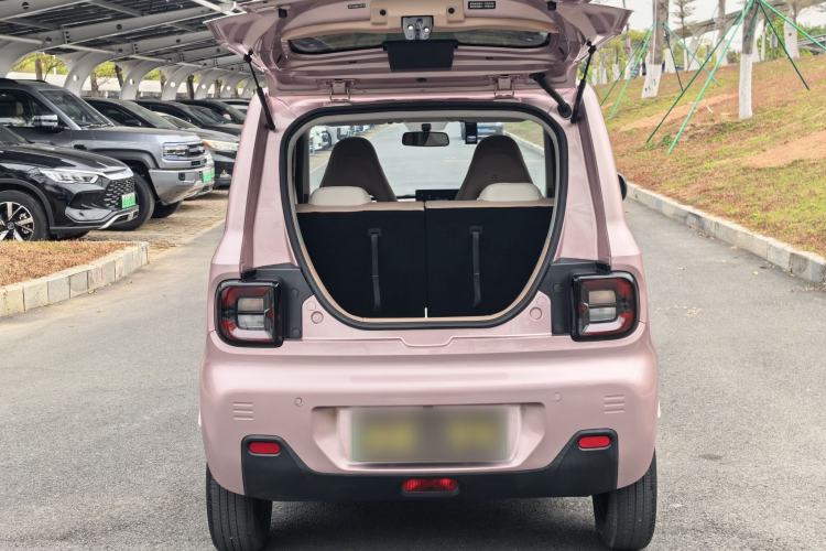 Used  Panda 2023 Panda Mini 200km Endurance Bear
