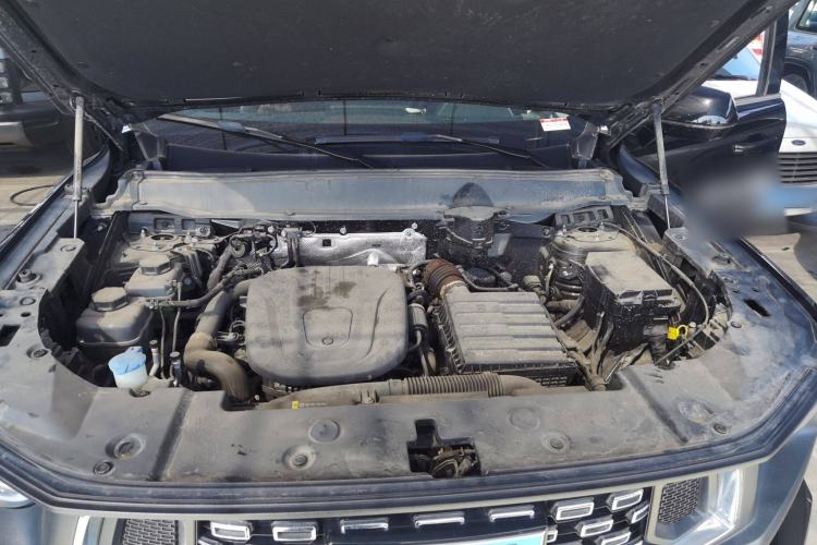 Used Haval  2024 Hi4 102km Trend Electric Version Plus
