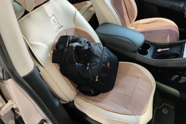 Used  LS6 2023 Max Long-Range Version