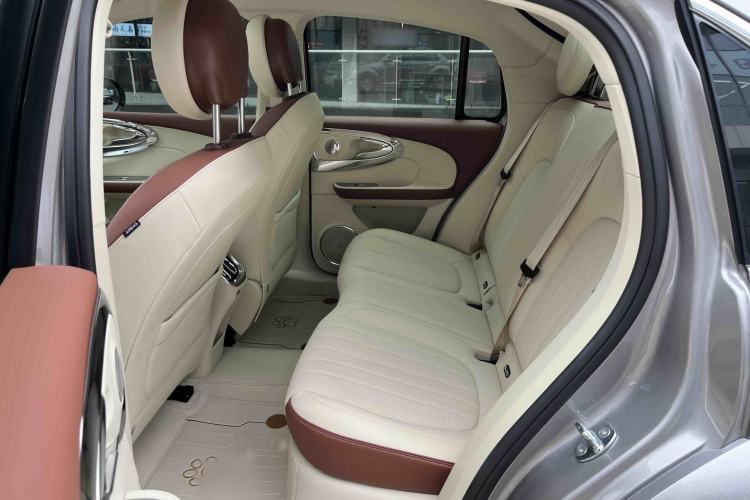 Used ORA Ballet Cat 2023 401 km Luxury Version
