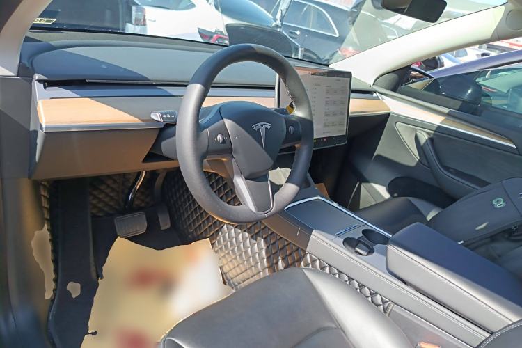 Used Tesla Model Y 2021 Standard Range Rear-Wheel Drive Version
