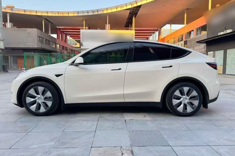 Used Tesla Model Y 2021 Standard Range Rear-Wheel Drive Version
