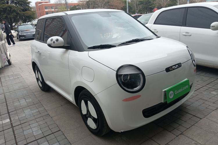 Used Qiyuan Lumin 2023 205km Xiangqin Version
