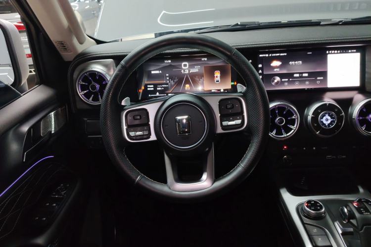 Used Tank 300 2024 2.0T Conqueror
