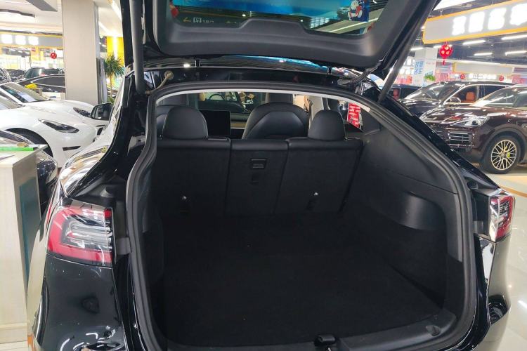 Used Tesla Model Y 2021 Standard Range Rear-Wheel Drive Version
