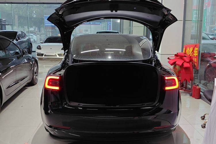 Used Tesla Model 3 2021 Performance High-Performance All-Wheel-Drive Version 3D6
