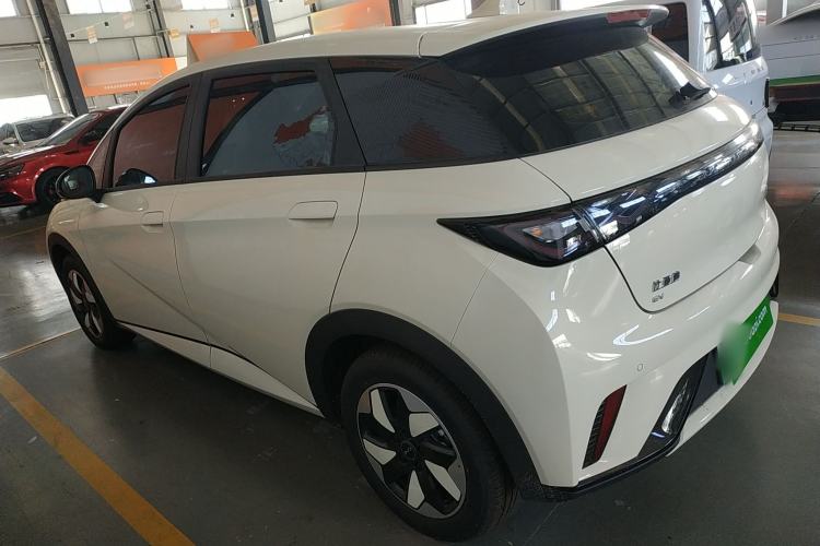 Used BYD Dolphin 2025 420km Free Edition
