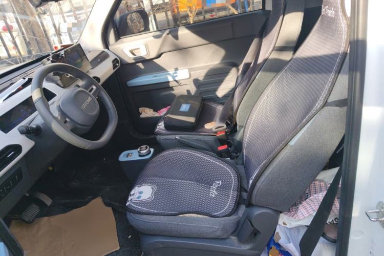 Used  Panda 2024 Panda Mini 200km Endurance Bear
