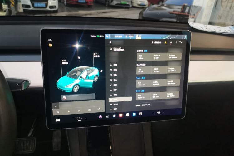 Used Tesla Model Y 2021 Standard Range Rear-Wheel Drive Version
