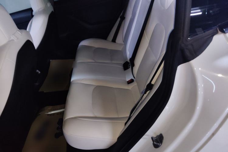 Used Tesla Model 3 2021 Performance High-Performance All-Wheel-Drive Version
