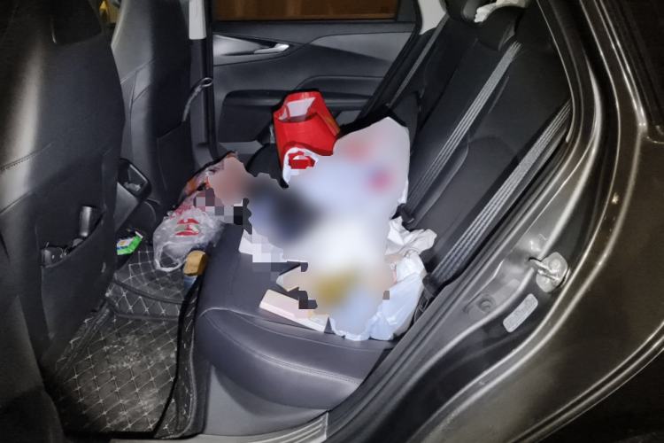 Used Changan Eado DD 2023 Blue Whale NE 1.5T GDI DCT Prestige Model
